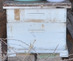 Bee Box